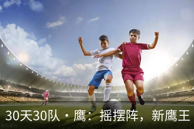 30天30队·鹰：摇摆阵，新鹰王